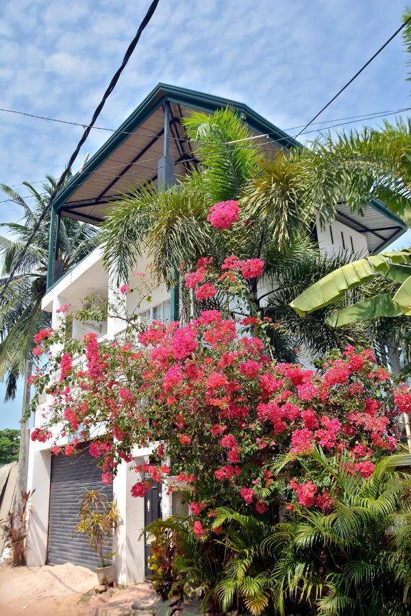 Yolanda Villa เนกอมโบ ภายนอก รูปภาพ